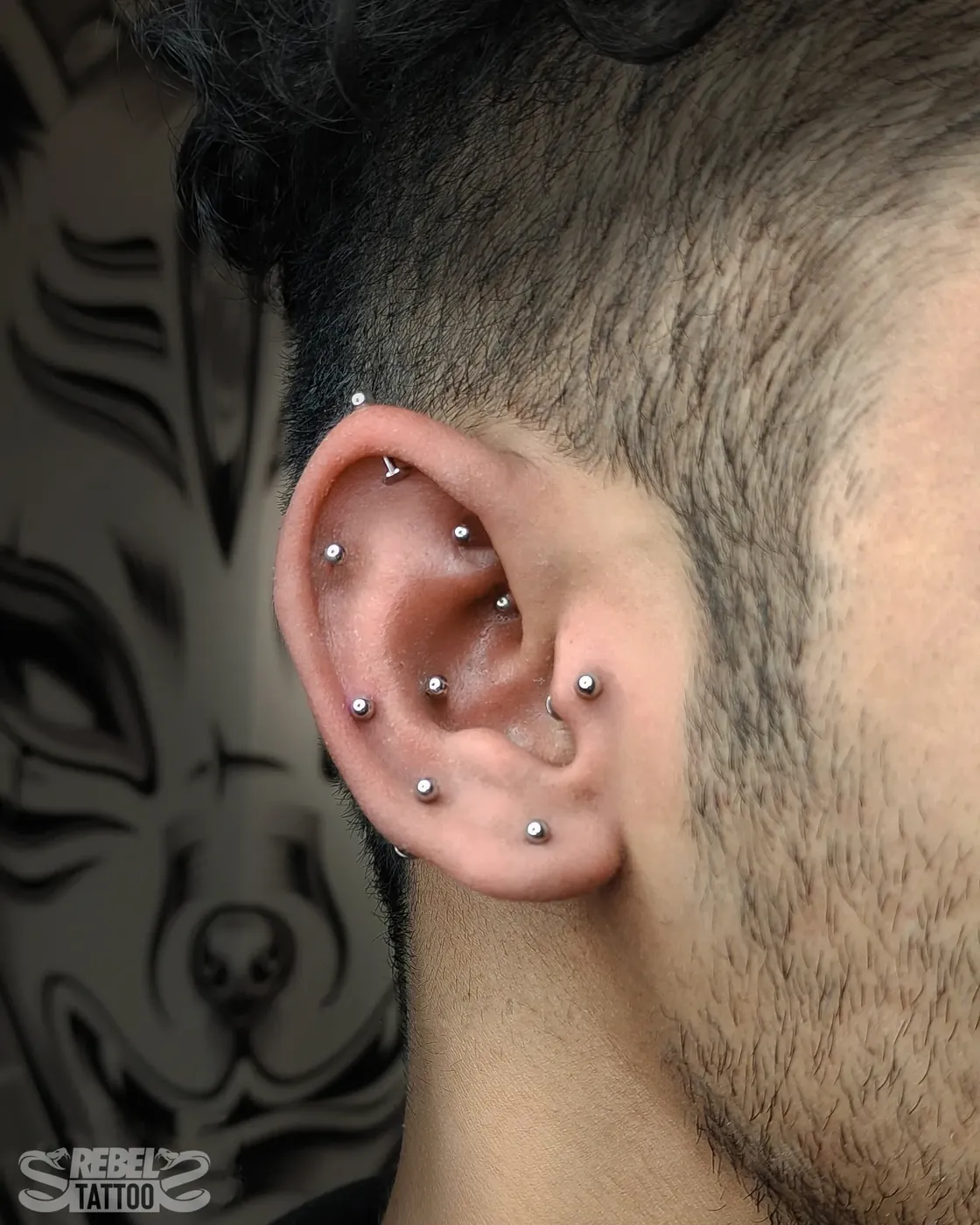 Multi piercing male ear curation with implant grade titanium studs at Rebel Tattoos Gurgaon
