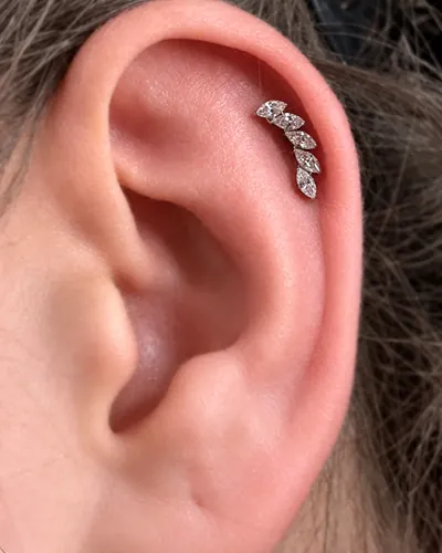 Helix piercing, leaf climber at Rebel Tattoos, Sector 67 Gurgaon
