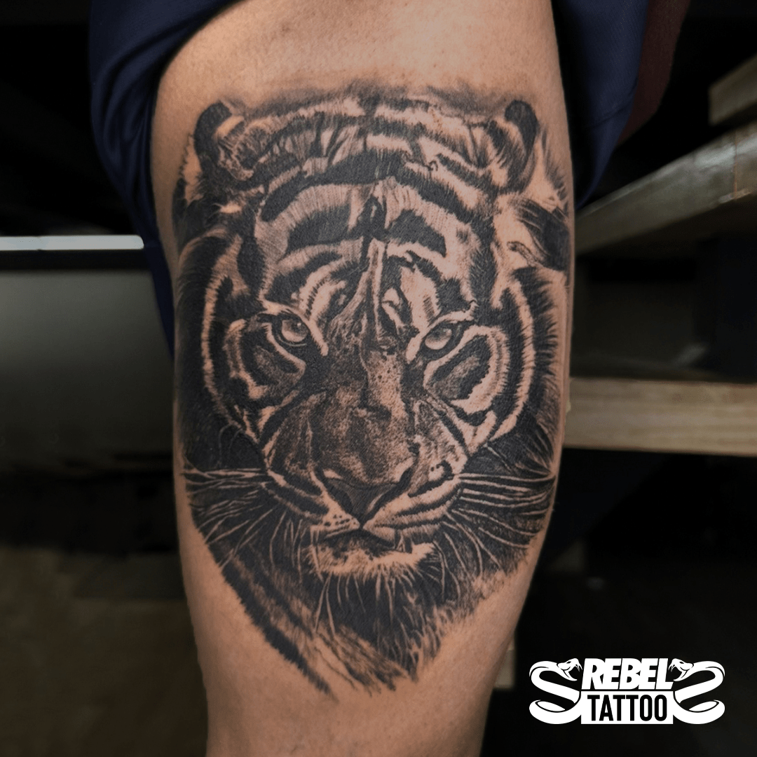 15+ Best Ever Animal Tattoo Designs and Their Meanings